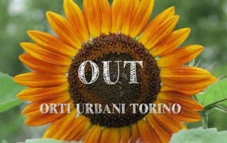 Orti-urbani-Torino